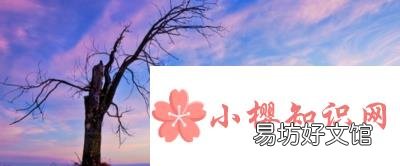 聊天开场白有哪些？