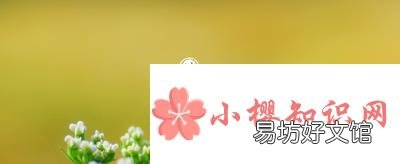月夜反映的节气是指的什么时候?