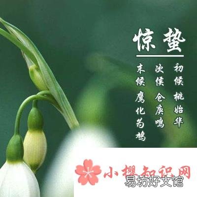 月夜反映的节气是指的什么时候?
