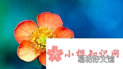 月夜反映的节气是指的什么时候?