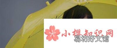 素媛是什么意思?