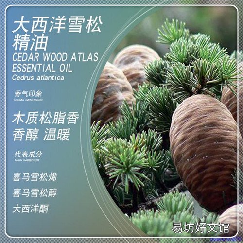 半导体存储技术 半导体存储器