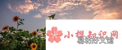 1000个撩人的句子有哪些?
