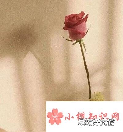 1000个撩人的句子有哪些?