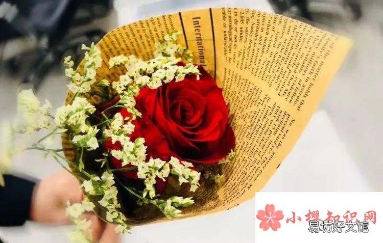 妇女节送什么花好?