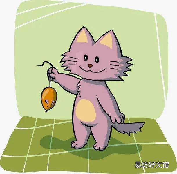 家里养猫对财运好不好(养猫对财运好吗)