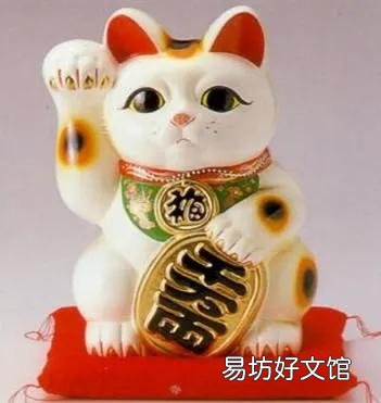 家里养猫对财运好不好(养猫对财运好吗)