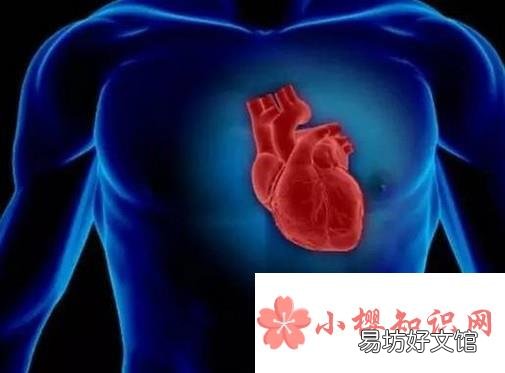 红酒泡洋葱有哪些神奇的功效?