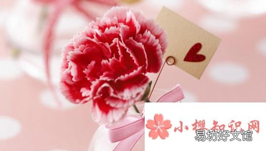 女神节送什么礼物好?