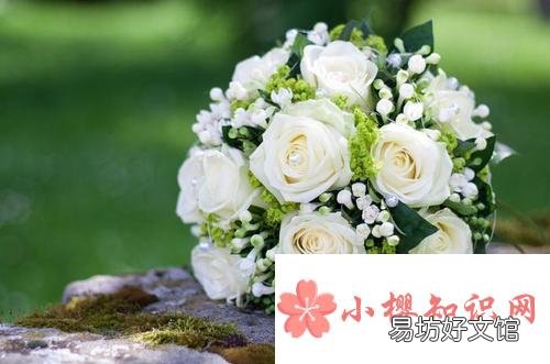 妇女节送什么礼物好?