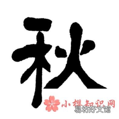 左边绿右边红谜底是什么?
