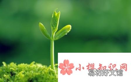 春天在什么在什么在什么上的仿写句子有哪些?
