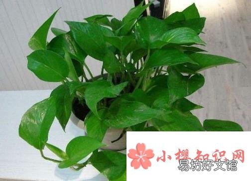 生活中能够很好的保护自己眼睛的小习惯有哪些?
