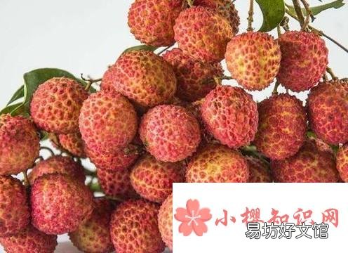 哪些人群不宜吃荔枝,吃荔枝有哪些好处与坏处?