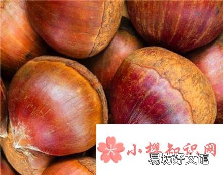 放干的生板栗怎么办