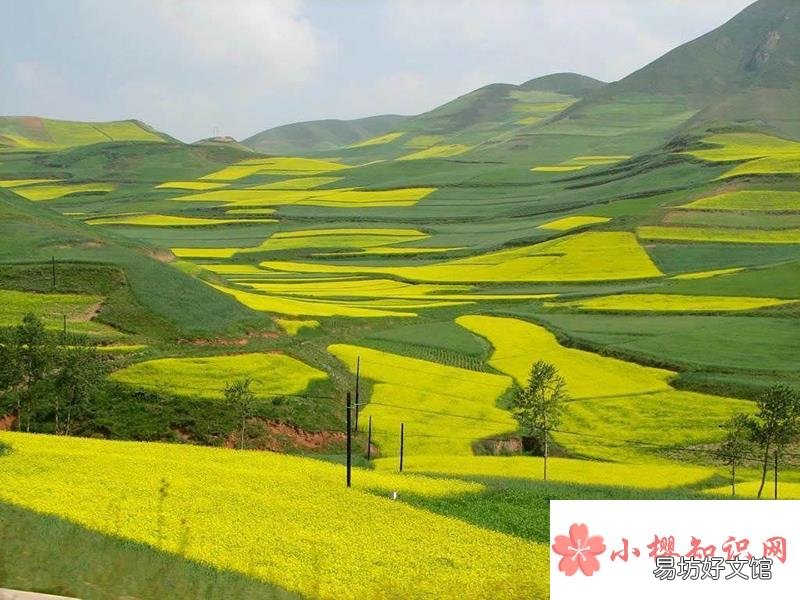 江西婺源几月份去看油菜花最好?