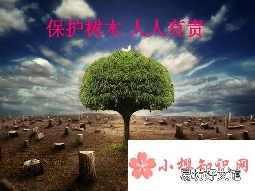 爱护树木的宣传标语有哪些?