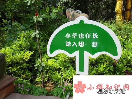 爱护树木的宣传标语有哪些?