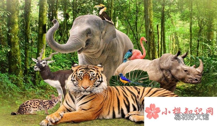 为什么说中国是建立动物园最早的国家?