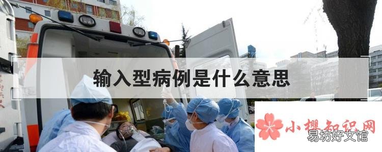 输入型病例是什么意思