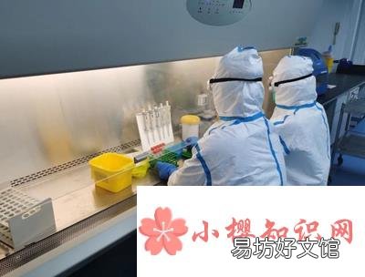 核酸检测一次多少钱?