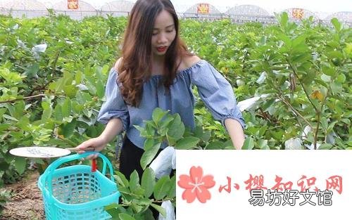 有哪些适合在农村做的生意?