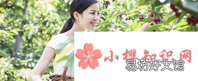 有哪些适合在农村做的生意?