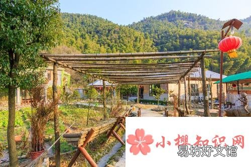 有哪些适合在农村做的生意?