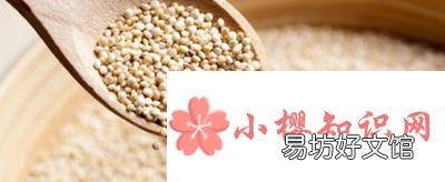 哪些人不适合吃藜麦？