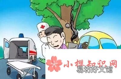 车损险是什么意思?