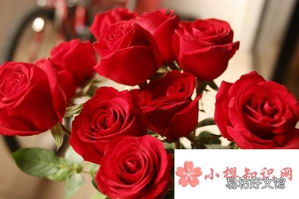 描写玫瑰花样子的句子有哪些?