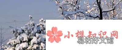 阳春白雪和下里巴人最初指的是什么?