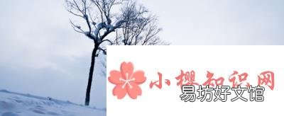 阳春白雪和下里巴人最初指的是什么?