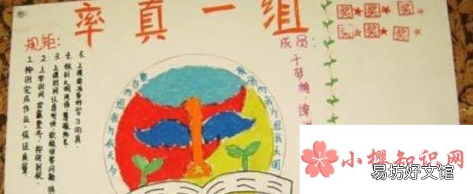 小组名字有哪些?