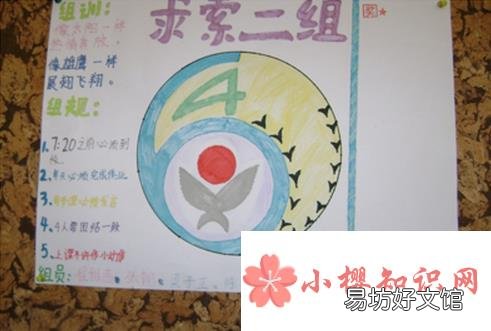 小组名字有哪些?