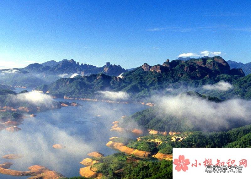 红茶制法的发明地在哪里?
