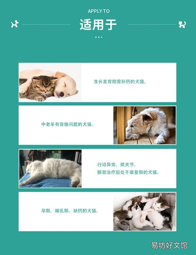 猫咪抽搐是什么情况(猫咪抽搐是什么情况像打喷嚏一样)