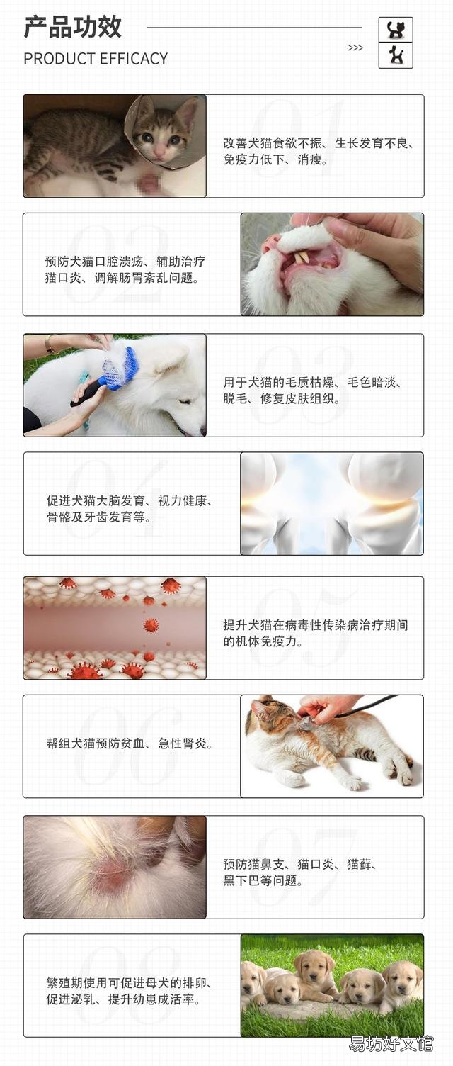 猫咪抽搐是什么情况(猫咪抽搐是什么情况像打喷嚏一样)