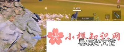 妄想山海捡蛋攻略是什么？
