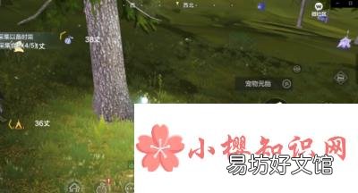 妄想山海捡蛋攻略是什么？