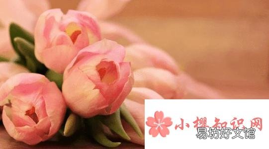 女神节创意文案句子有哪些?