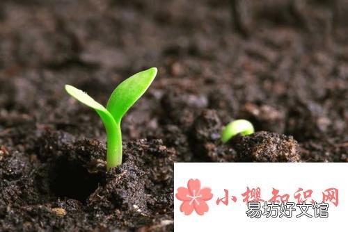 谁和谁好仿写句子有哪些？
