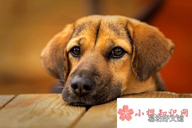 女生发哼哼是什么意思?