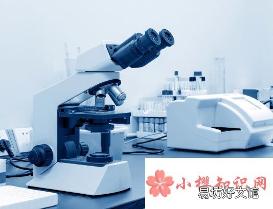 显微镜的使用方法