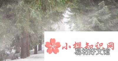 三九天穿裙子的歇后语是什么？