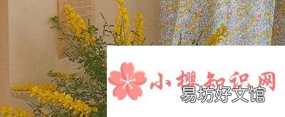 森系文艺范短句有哪些?