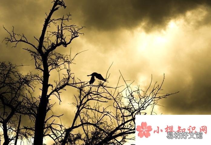多事之秋下一句是什么？