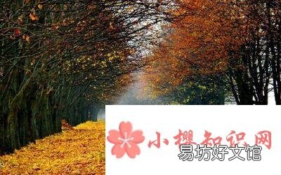 多事之秋下一句是什么？