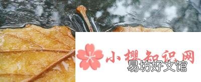 多事之秋下一句是什么？