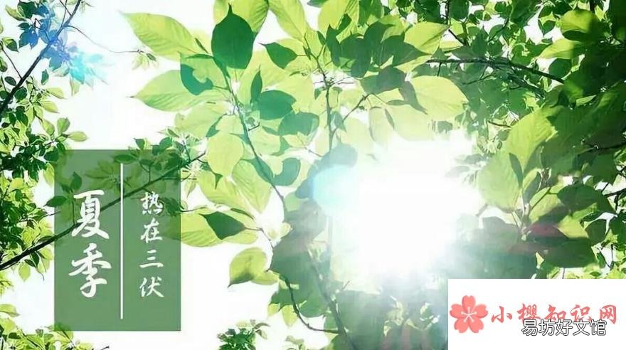 2021年三伏天时间是怎样的？